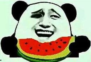 娱乐圈吃瓜群众是谁啊,揭秘那些热衷于八卦的明星粉丝群体
