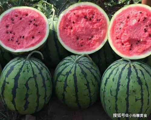 娱乐吃瓜酱这就是夏天,娱乐吃瓜酱带你领略这就是夏天的魅力