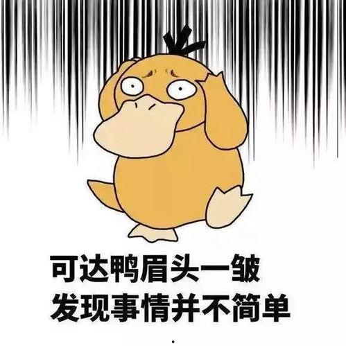 吃瓜娱乐小鲤鱼,揭秘娱乐圈幕后故事