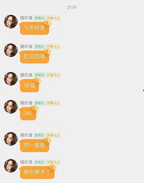 娱乐吃瓜酱素材库在哪,独家秘籍，轻松掌握娱乐圈热点